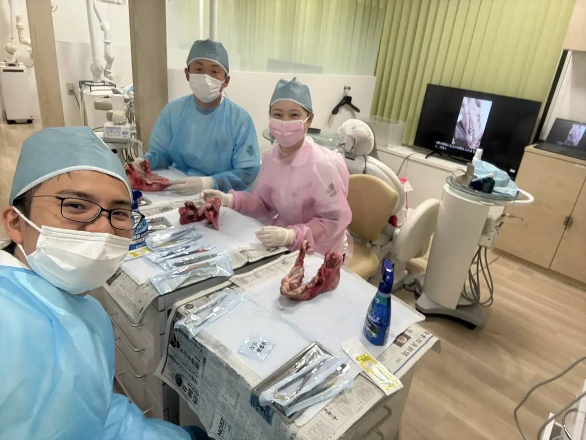 豚顎で外科の実習をする歯科医師